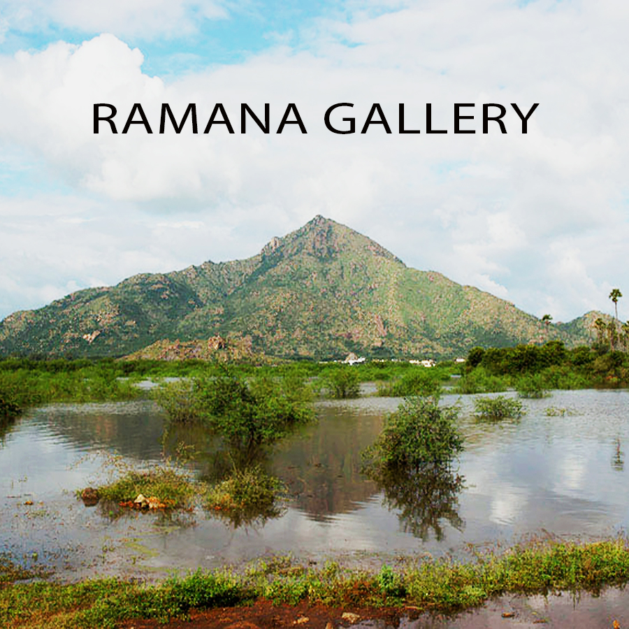 Ramana Gallery - Tab Photo