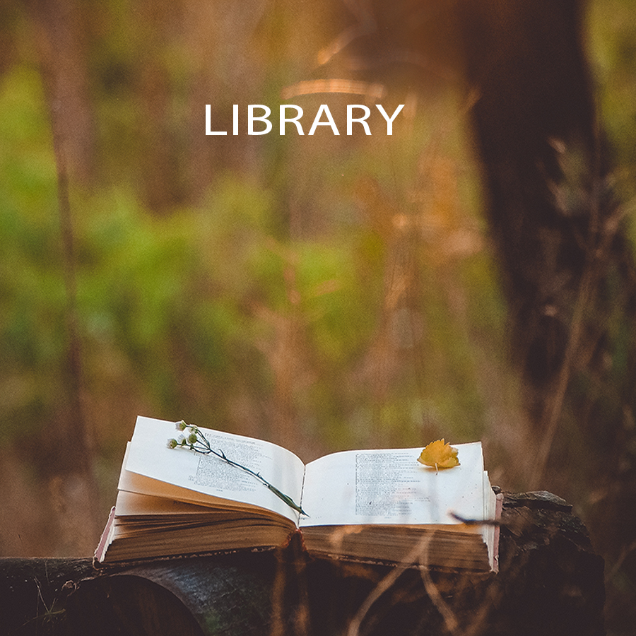 Library - Tab Photo