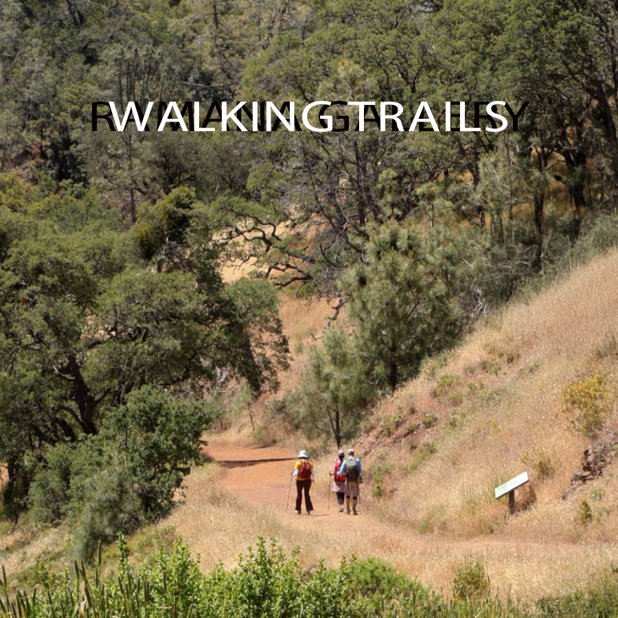 Walking Trails - Tab Photo